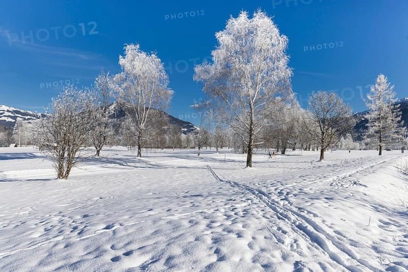Winter, snow, cross-country skiing, hiking, winter hike, mountains, Hohe Tauern, Pinzgau