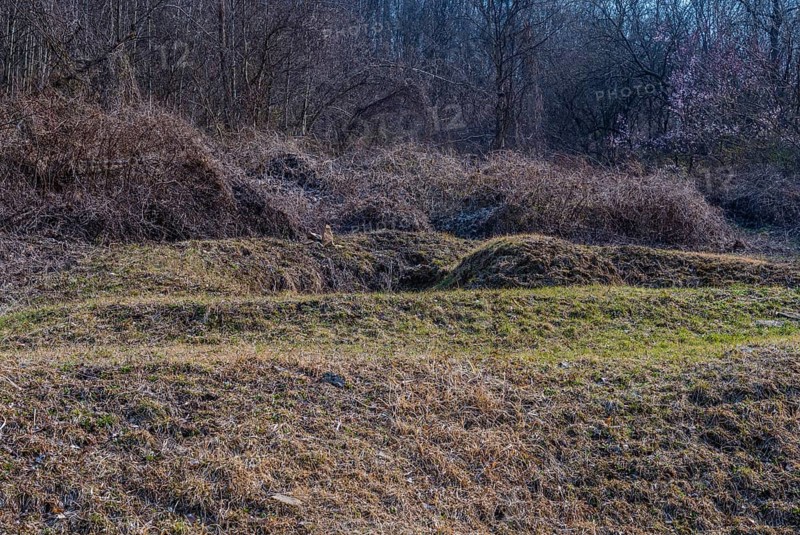 Unmarked burial mound in clearing of wilderness area on sunny day in early spring, South Korea, South Korea, Asia