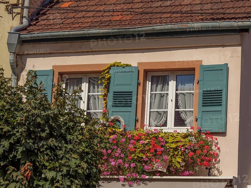 Historic house façade with green shutters and blooming flowers in flower pots, Weissenburg, Alsace, France, Europe