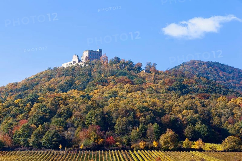Hambach Castle