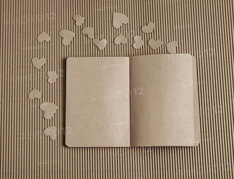 Paper hearts around notebook on cardboard