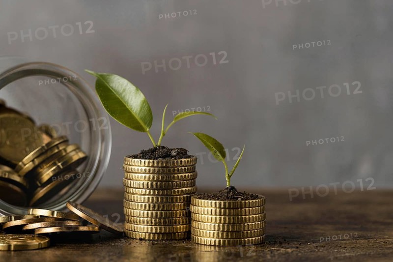 Front view two stacks coins with jar plants. Resolution and high quality beautiful photo