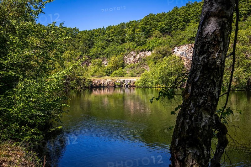 Scenic view at the silver lake on the mountain Lemberg, Rhineland-Palatinate, Germany, Europe