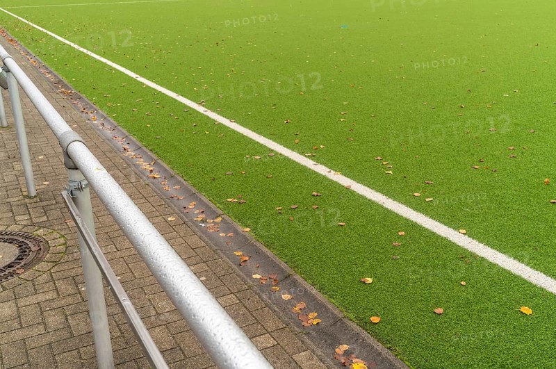 Showing the white line marking the edge of the field, autumn leaves are gathering along the sidelines of this empty soccer field