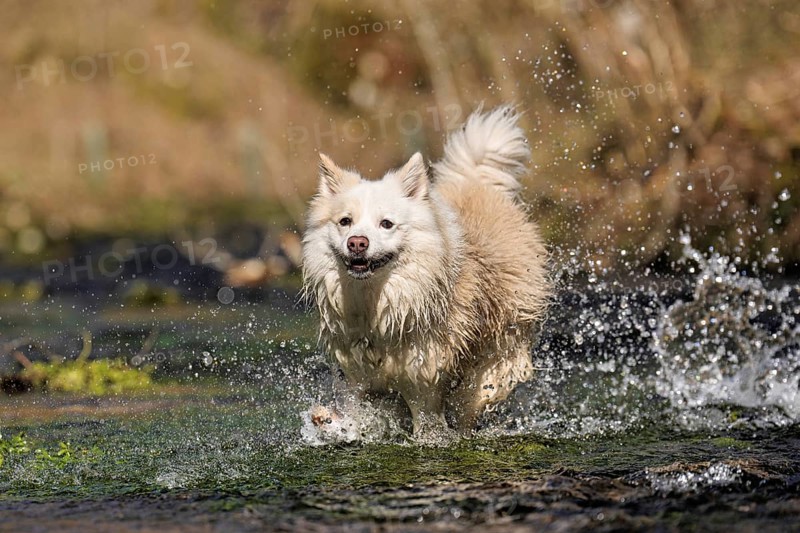 Water fun in the Hasenbach stream near Hayingen in the Swabian Alb