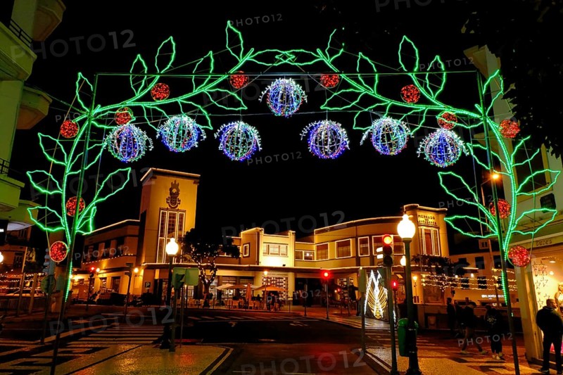 Christmas lights, leaves, flowers, Mercado dos Lavraderos, Funchal, Madeira Island