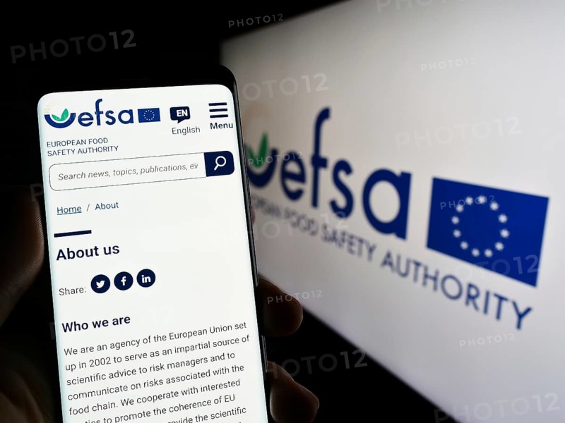 Stuttgart, Germany, 03-25-2023: Person holding mobile phone with website of EU agency European Food Safety Authority (EFSA) on screen with logo. Focus on center of phone display, Europe
