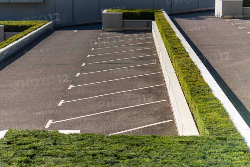 Diagonal parking pattern on a parking space, surrounded by boxwood in the City Nord, an office city planned in the sixties in the north of Hamburg