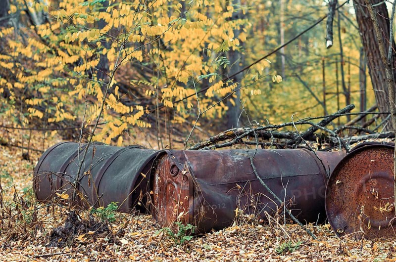 Barrels of chemical waste in the forest in Chernobyl Ukraine in autumn