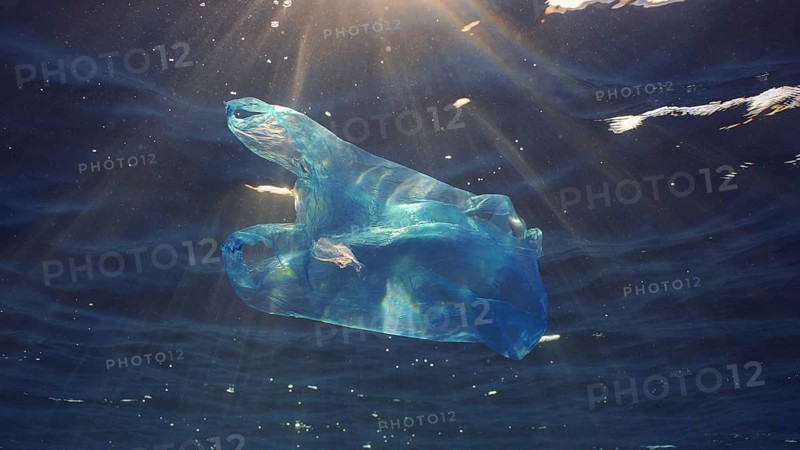 Disposable blue plastic bag floats under surface in blue water in sunrays. Plastic bag thrown into sea drifts under surface of blue water in morning sunlight, Red sea, Egypt, Africa