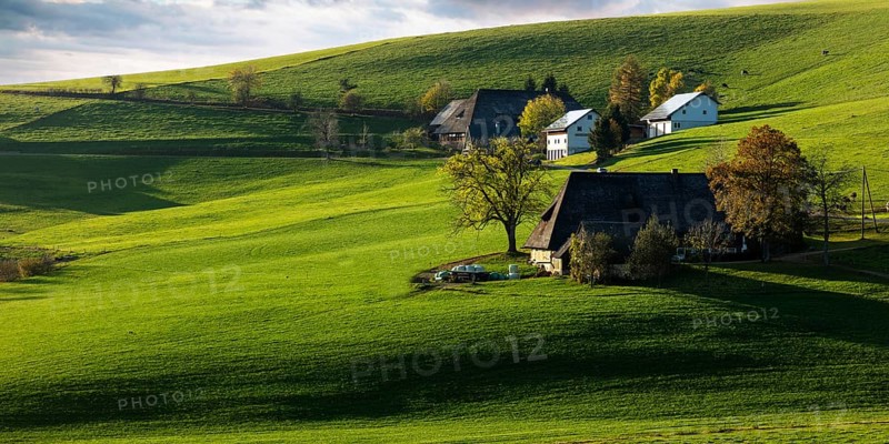 Old farms in the landscape in autumn, Breitnau, Black Forest, Baden-Württemberg, Germany, Europe
