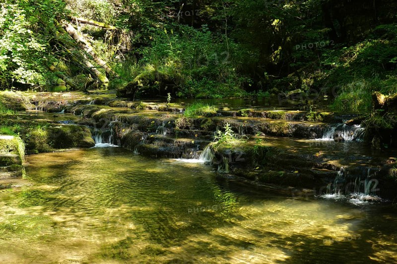 Gauchach Gorge in the Black Forest, Baden-Württemberg, Germany, Gauchach Gorge in the Black Forest, Baden-Württemberg, Germany, Europe