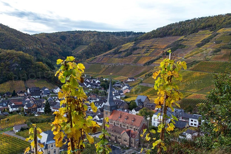 View of the church in Mayschoß in the Ahr valley from the red wine hiking trail