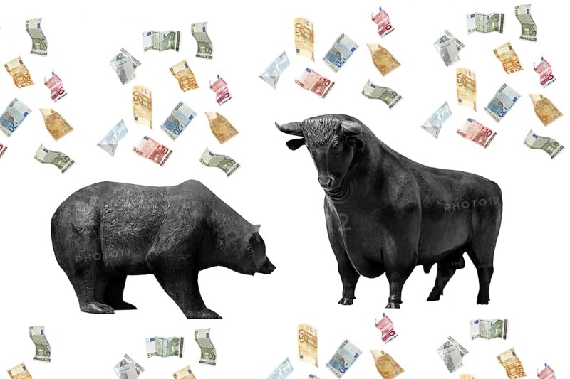Bull and bear, symbolic figures of the stock market, Studio