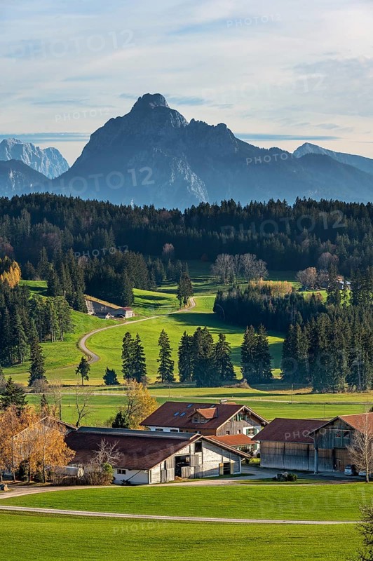 Farms, autumnal meadows and forests near Seeg with the Säuling mountain in the background, Allgäu, Bavaria, Germany, Europe