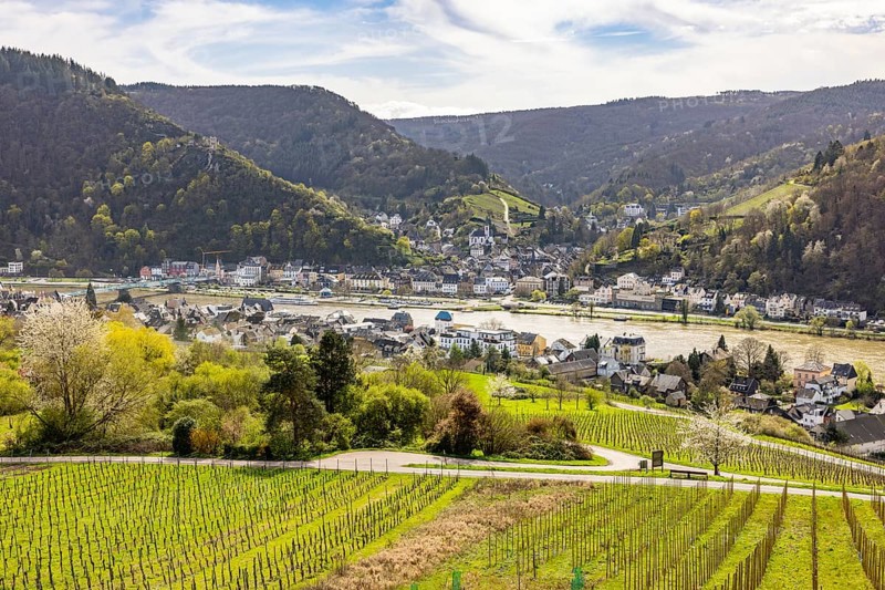 View of the town of Traben-Trarbach and the Moselle with surrounding vineyards and clear sky, Traben-Trarbach, Rhineland-Palatinate, Germany, Europe