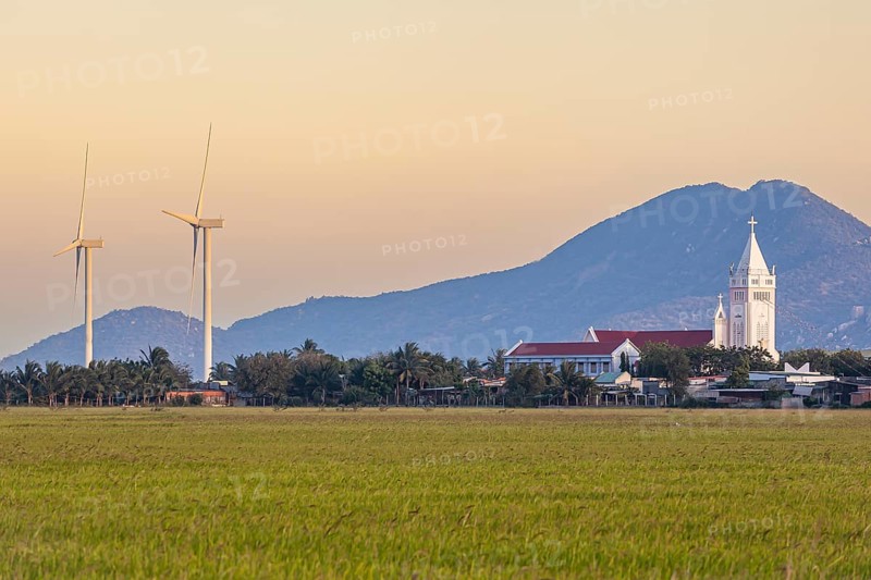 Landscape with rice fields and wind turbines and a Catholic church at Phan Rang, Ninh Thuan province, Vietnam, Asia