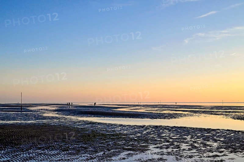Wadden Sea shortly in front of sunset, Sahlenburg, Cuxhaven, Lower Saxony, Germany, Europe