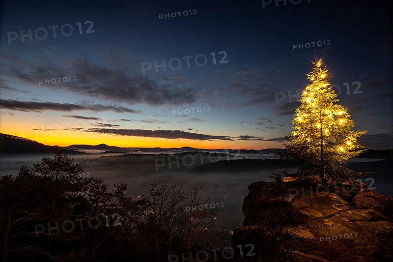 Exhilarating sunrise at the Wachtfelsen. Magical morning mist, clouds and a Christmas tree in the morning light, Wernersberg, Palatinate Forest