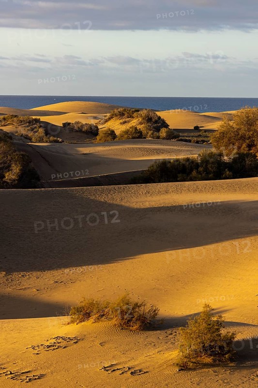 Maspalomas Dunes Nature Reserve, Gran Canaria, Canary Islands