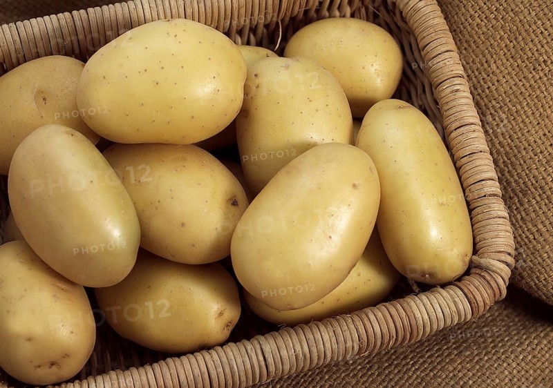 Mona Lisa Potato (Solanum tuberosum), Vegetables in Basket
