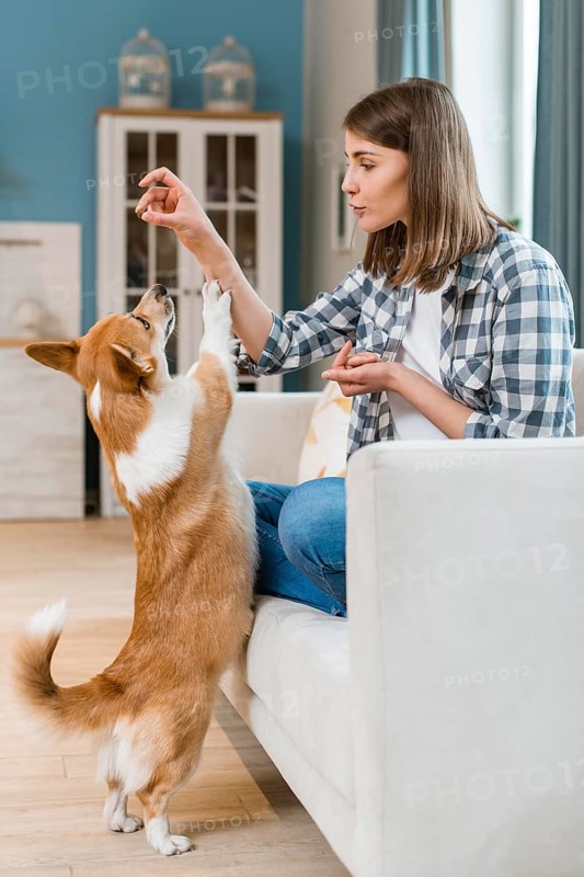 Woman couch giving her dog treat
