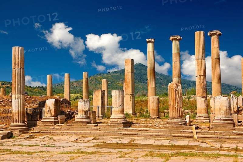 Pediment of the 2-1 cent. B. C Propylon gateway connecting the sanctuary of Artimis with the Agora, Magnesia on the Meander arcaeological site, Turkey, Asia