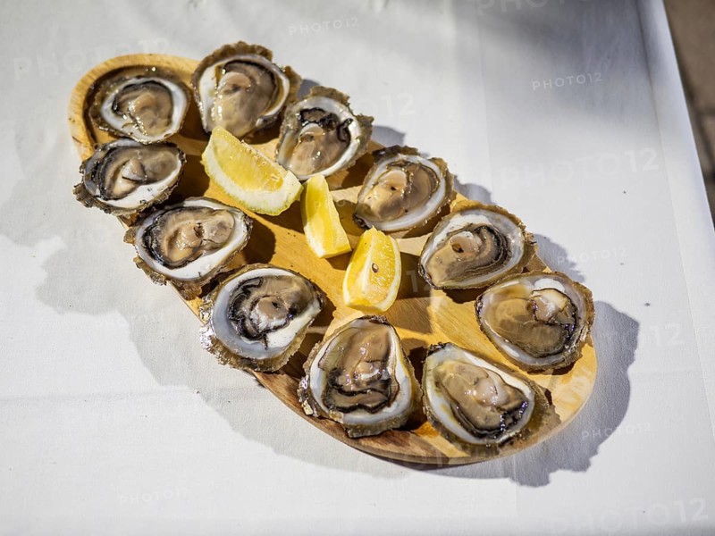 Oysters with lemon, served on a wooden board, Korcula, Dalmatia, Croatia, Europe