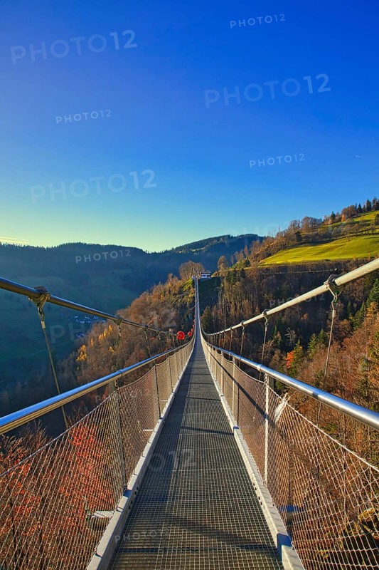 Longitudinal view of a suspension bridge leading over wooded hills, Black Forest Line, suspension bridge, Todtnau, Baden- Württemberg, Germany, Europe