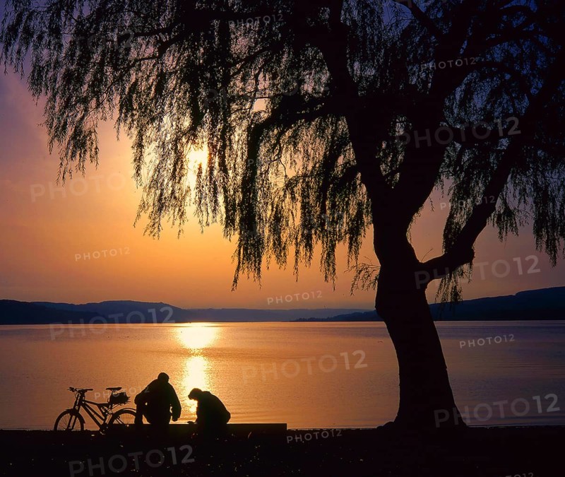 Reichenau Island in Lake of Constance, evening mood, pair on bench, bicycles, Baden-Württemberg, Germany, Europe