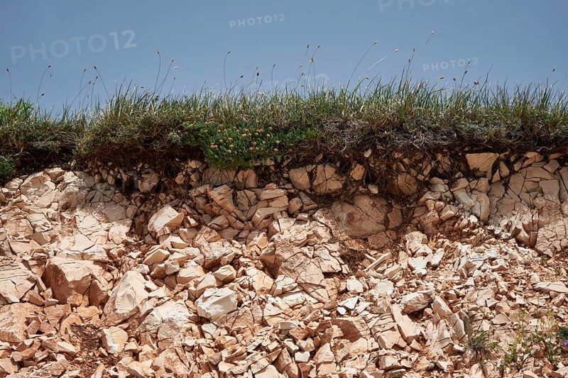 Calcareous soil with grass cover, Rendzina, Monti Sibillini National Park, Parco Nazionale dei Monti Sibillini, Sibillini Mountains, Marche Region, Macerata Province, Italy, Europe