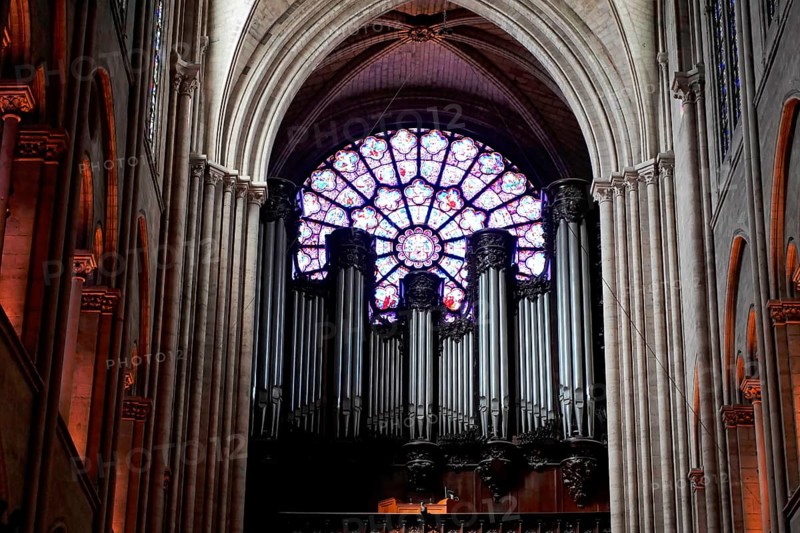 Notre-Dame de Paris Cathedral, Ille de la Cité, 4th arrondissement, Paris, France, Europe, Gothic organ and colourful stained glass windows in an ecclesiastical interior design, Europe