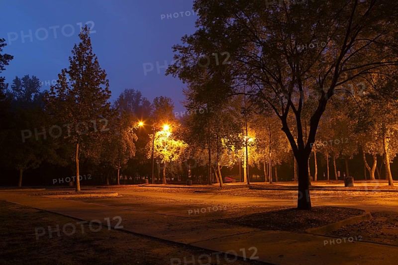 Early morning park
