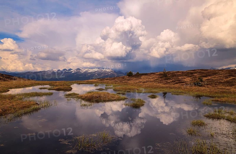 High moor, Schwendau, Zillertal, Tyrol lowlands, Tyrol, Austria, Europe