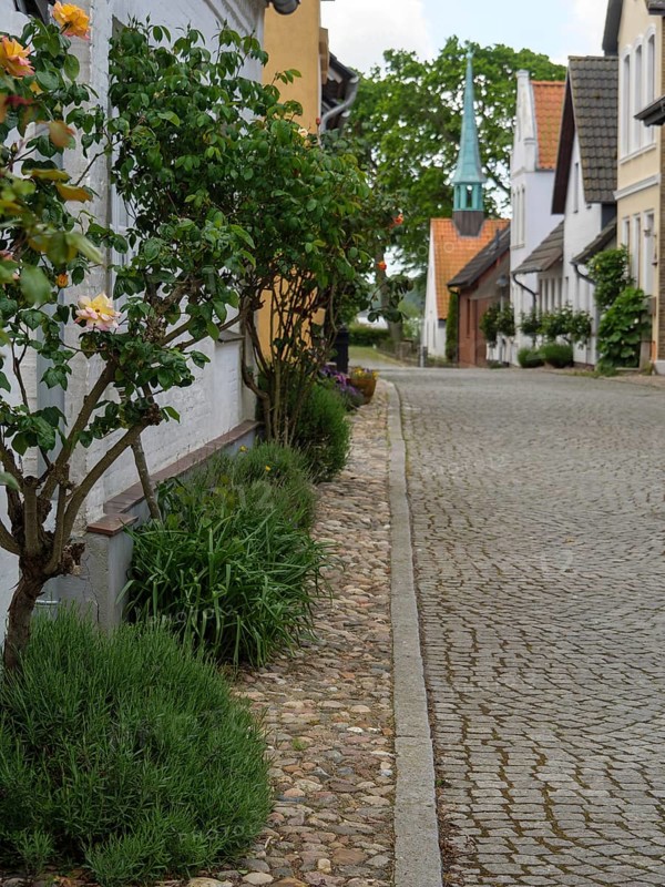 Paved street with well-kept gardens and terraced houses in an idyllic village, maasholm, germany