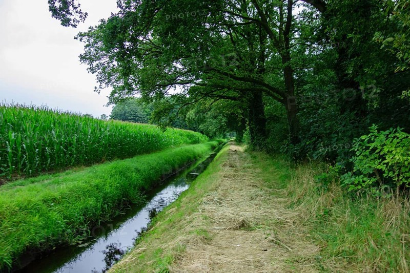 A field next to a ditch with green trees and grass creating a peaceful rural atmosphere, Aalten, gelderland, the netherlands