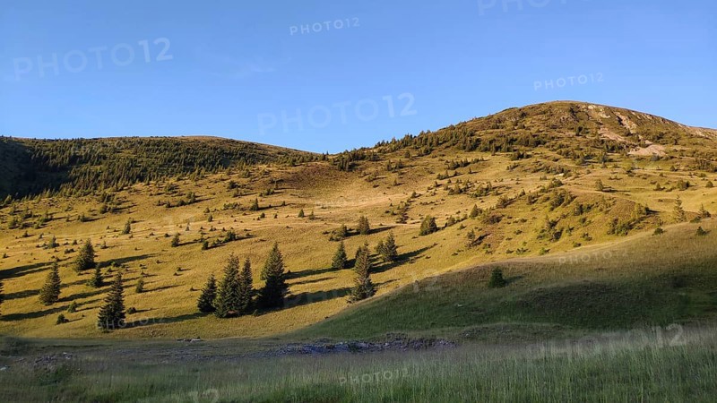 Parang Mountains, Southern Carpathians, Romania, Europe