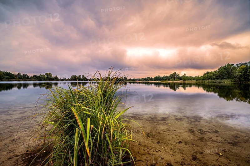 The Hufeisensee in Isernhagen near Hanover in autumn during rain and sunset, Isernhagen, Lower Saxony, Germany, Europe
