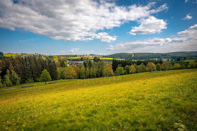 View over forest and meadow in Vogtland, Schönheide, Saxony, Germany, Europe