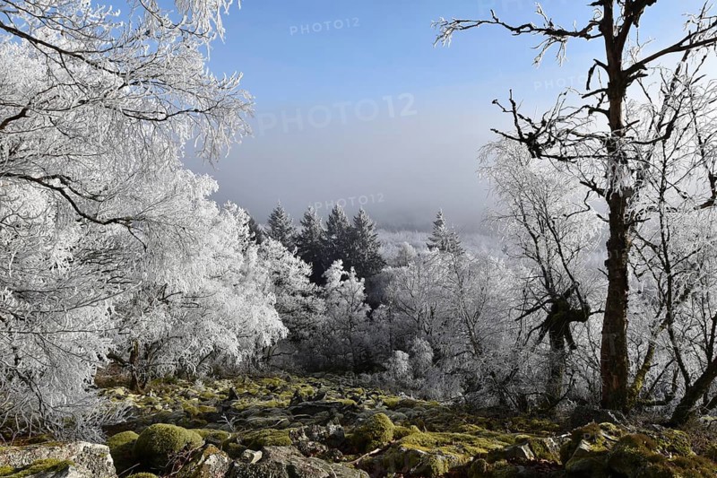 View from the summit ridge of the Mörschieder Burr in the Hunsrück-Hochwald National Park with rocks and hoarfrost on the trees on a sunny day with fog in the valley, Rhineland-Palatinate, Germany, Europe