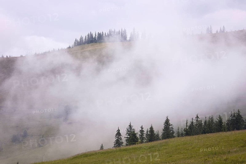 Mountains rural landscape at the rain. Carpathian mountains, Ukraine, Europe
