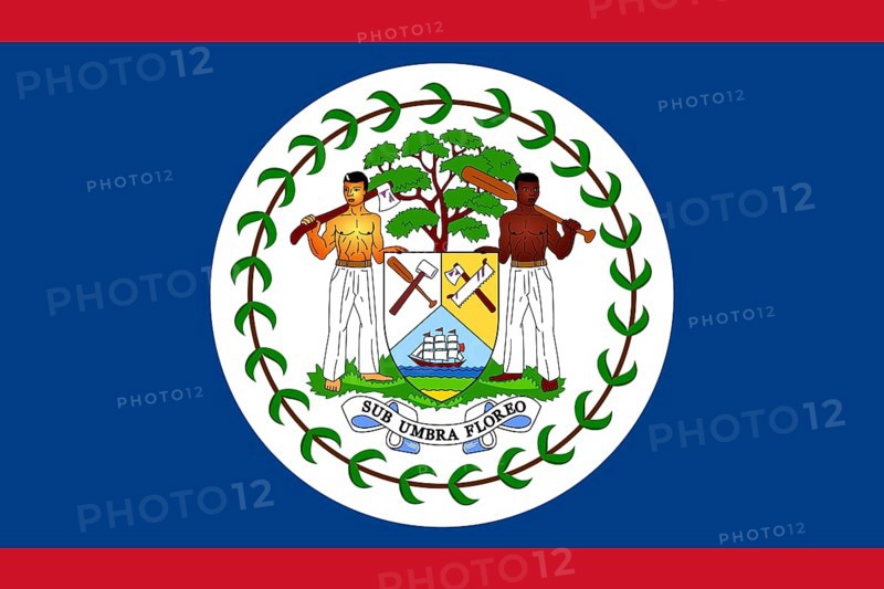 Flag of Belize, Vector illustration