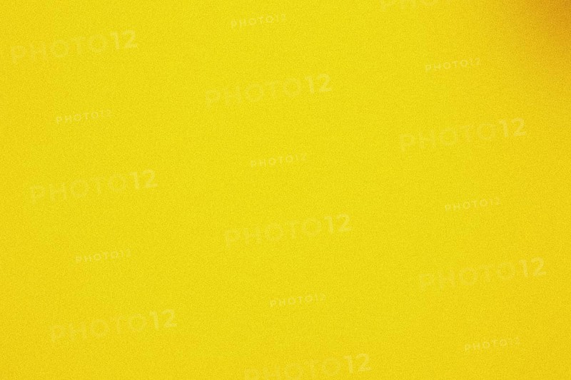 Grainy, textured gradient background with a warm yellow color palette