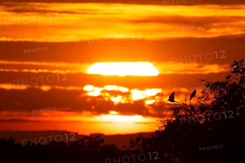 The sun rises behind a band of clouds, Frankfurt am Main, Hesse, Germany, Europe