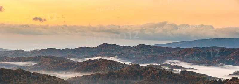 Autumn View panorama South Styrian wine route in Austria at hills in Slovenia during sunraise. Autumn at Vineyard theme