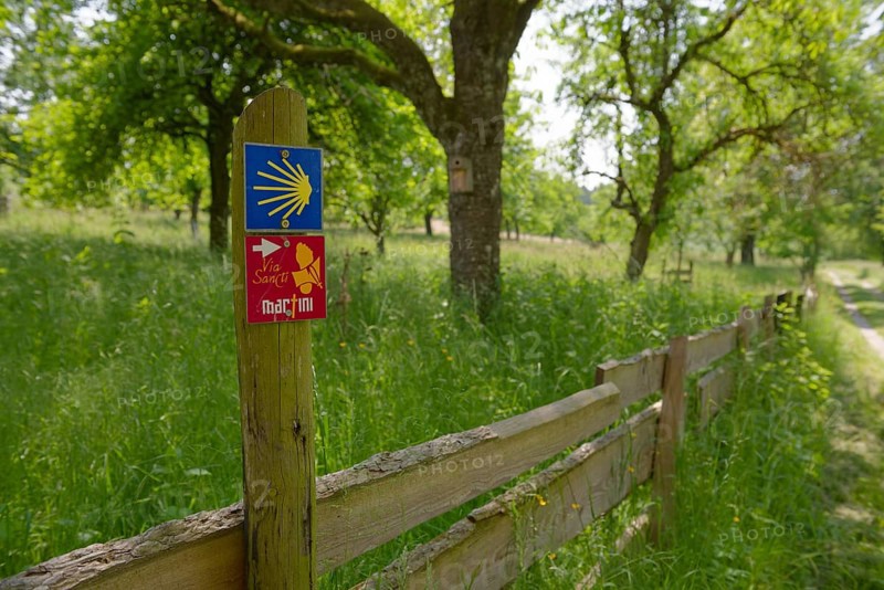Hiking trails, martinusweg, martinus paths, jacobsweg, jagsttal, neusass, schoental, jagst, baden-wuerttemberg, heilbronn-franken, hohenlohe, germany