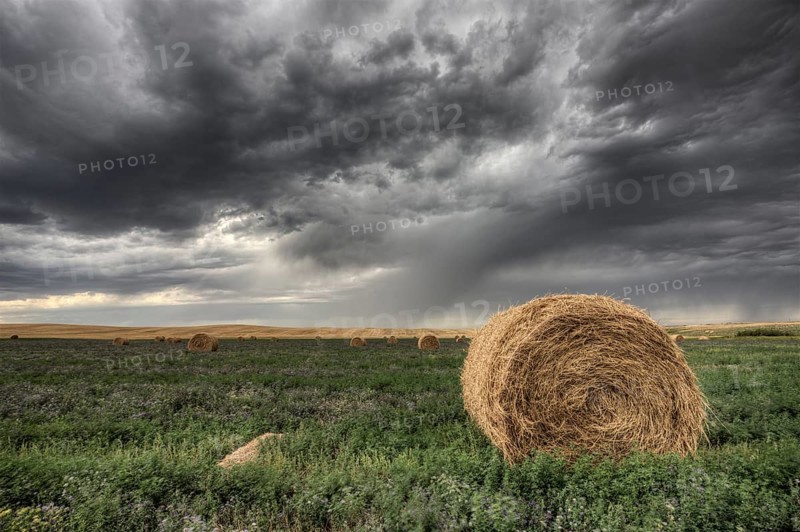 Hay Bale and Prairie Storm Alfalfa field