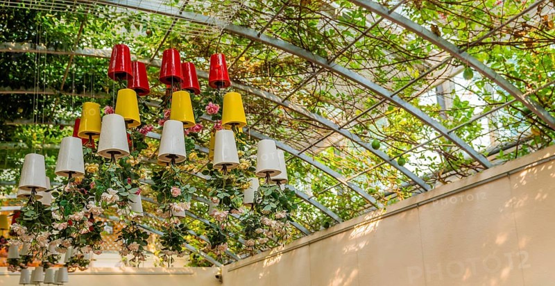 Flowers growing upside down in colorful pots hanging from metal frame roof, South Korea, South Korea, Asia