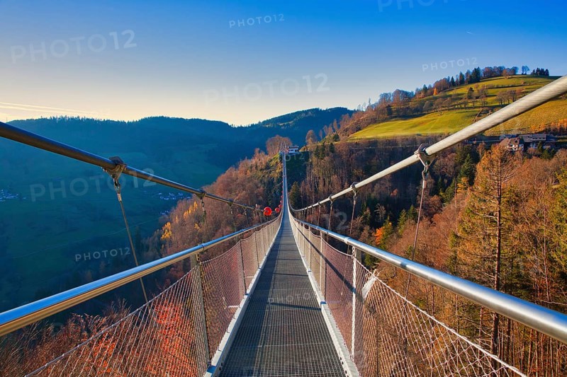 A suspension bridge leads over autumnal landscapes with hills in the background, Black Forest Line, suspension bridge, Todtnau, Baden- Württemberg, Germany, Europe