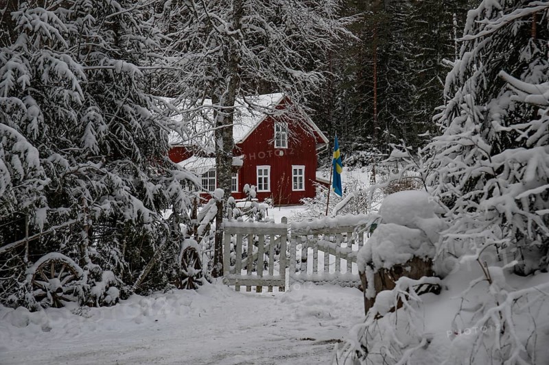 Typical red Swedish house. Wooden house in a winter landscape with ice and snow. Small settlement in the middle of a snowy forest. Landscape shot in Sweden